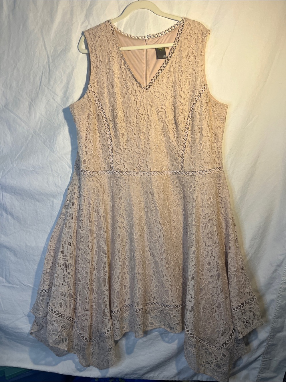 Taylor Sleeveless Lace Fit & Flare Dress in Blush 22W